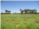Tullochard, Mitchell QLD 4465