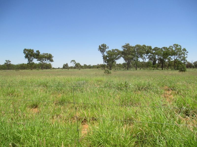 Tullochard, Mitchell QLD 4465