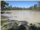 Tullochard, Mitchell QLD 4465