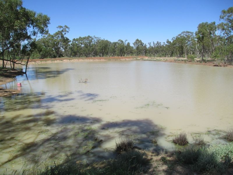 Tullochard, Mitchell QLD 4465