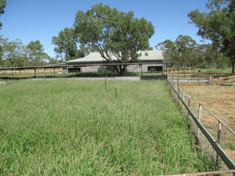 Tullochard, Mitchell QLD 4465