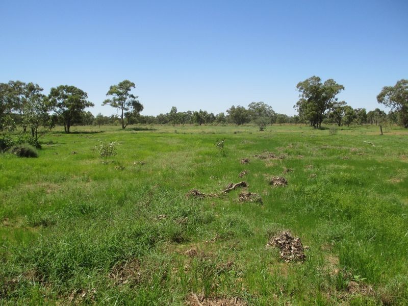 Tullochard, Mitchell QLD 4465