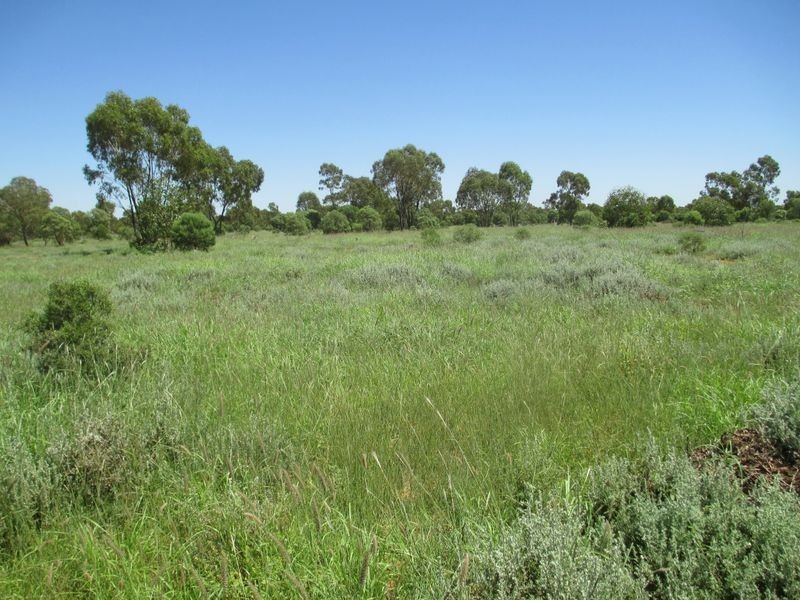 Tullochard, Mitchell QLD 4465