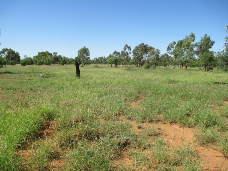 Tullochard, Mitchell QLD 4465