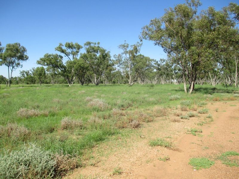 Tullochard, Mitchell QLD 4465