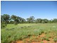 Tullochard, Mitchell QLD 4465