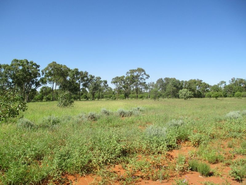 Tullochard, Mitchell QLD 4465