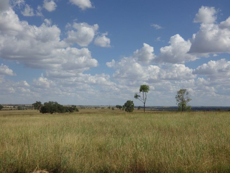 ‘Proston’ Carnarvon Highway, Injune QLD 4454