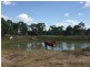 ‘Proston’ Carnarvon Highway, Injune QLD 4454