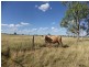 ‘Proston’ Carnarvon Highway, Injune QLD 4454