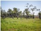 75 Warooby Lane, Roma QLD 4455