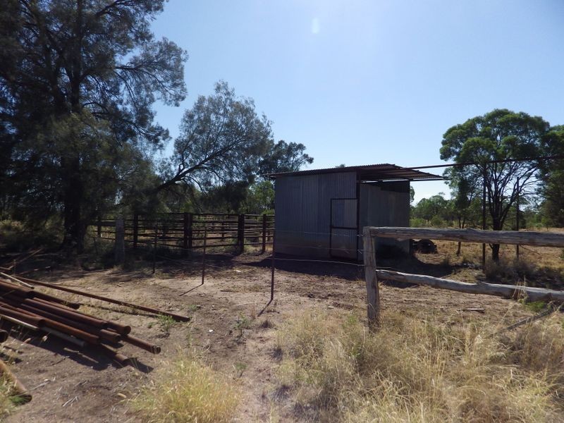 502 Bungeworgorai Lane, Roma QLD 4455