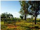 214 Bourne Drive, Roma QLD 4455
