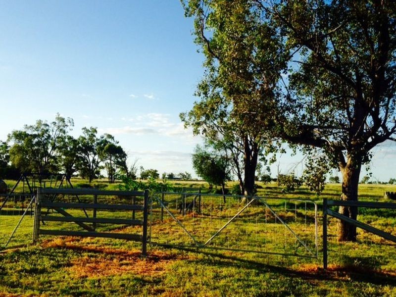 214 Bourne Drive, Roma QLD 4455