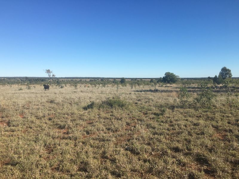 Lot 29 Seventeen Mile Lane, Roma QLD 4455