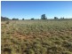 Lot 29 Seventeen Mile Lane, Roma QLD 4455
