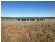 Lot 29 Seventeen Mile Lane, Roma QLD 4455