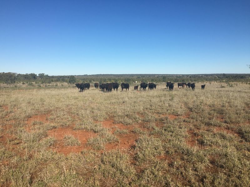 Lot 29 Seventeen Mile Lane, Roma QLD 4455