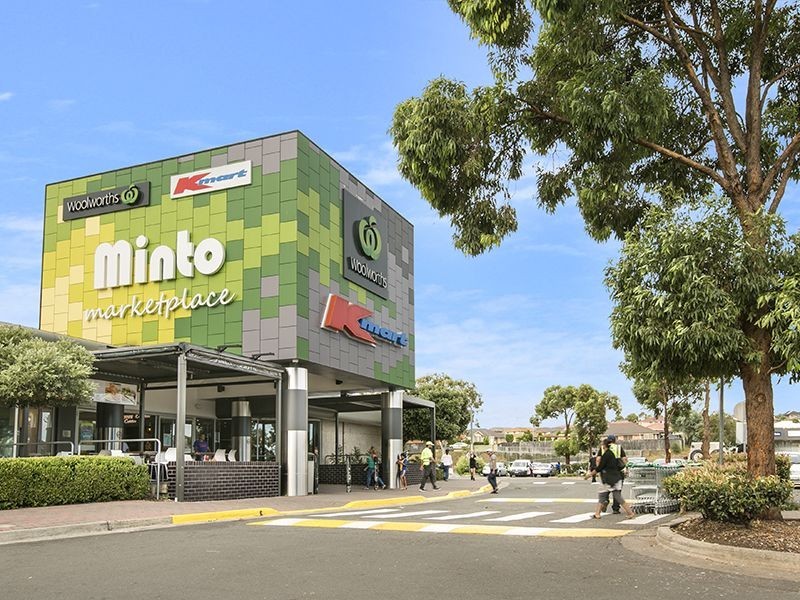 21 Blackwood Ave, Minto NSW 2566