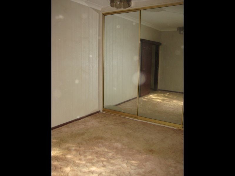 19 Carinda Street, Ingleburn NSW 2565