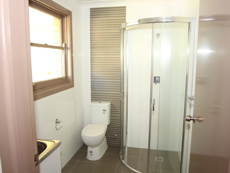 58 Lionel Street, Ingleburn NSW 2565