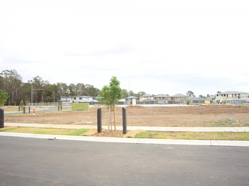 38 Needlebush Avenue, Denham Court NSW 2565