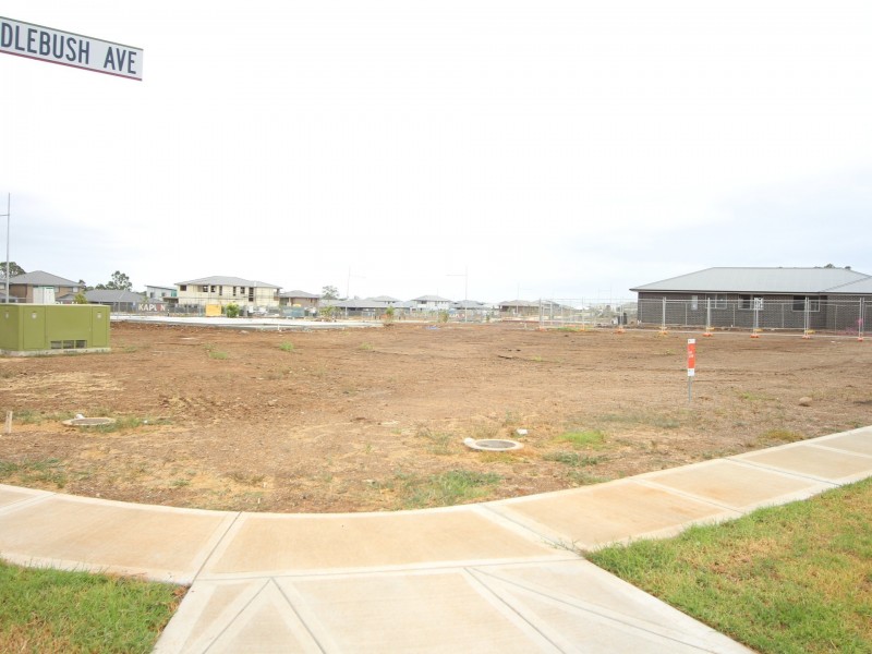 38 Needlebush Avenue, Denham Court NSW 2565