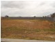 10 Dromedary Place, Denham Court NSW 2565