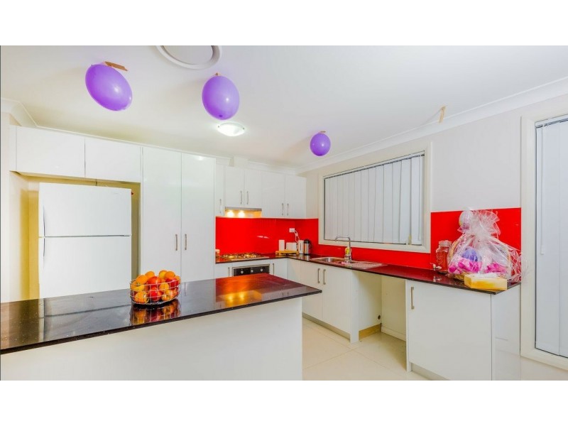 10 McClintock Drive, Minto NSW 2566