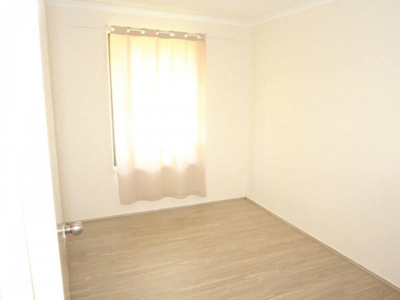 12 Plowman Road, Minto NSW 2566