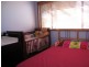 5 Clement Place, Ingleburn NSW 2565