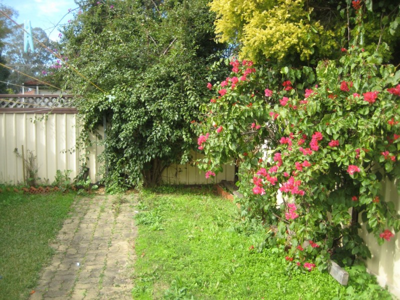 16 Phyllis Street, Minto NSW 2566