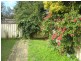 16 Phyllis Street, Minto NSW 2566