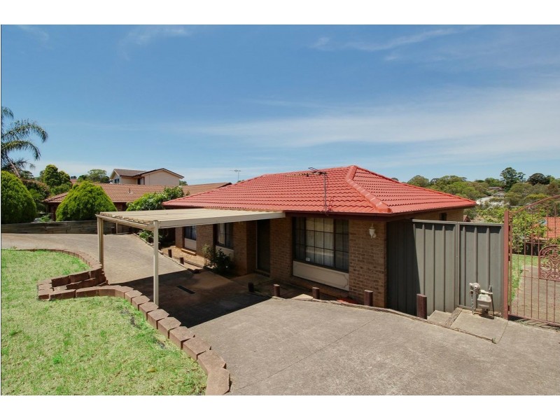 20 Thompson Place, Minto NSW 2566