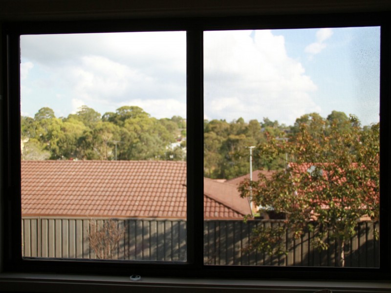 20 Thompson Place, Minto NSW 2566