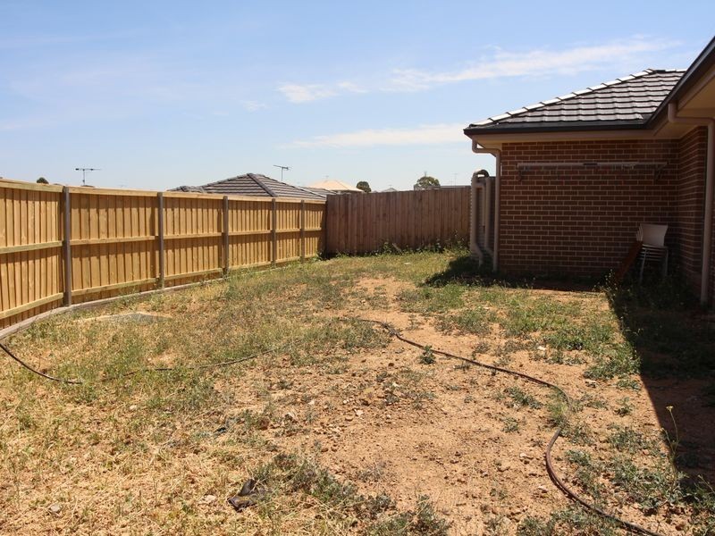 29 Faverolle Drive, Spring Farm NSW 2570