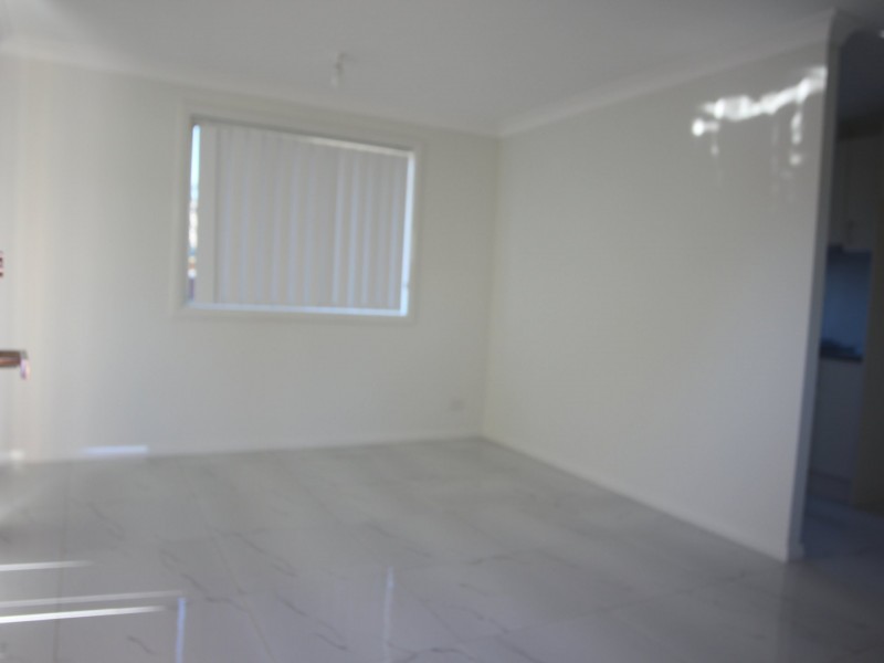3A Noeline Street, Macquarie Fields NSW 2564