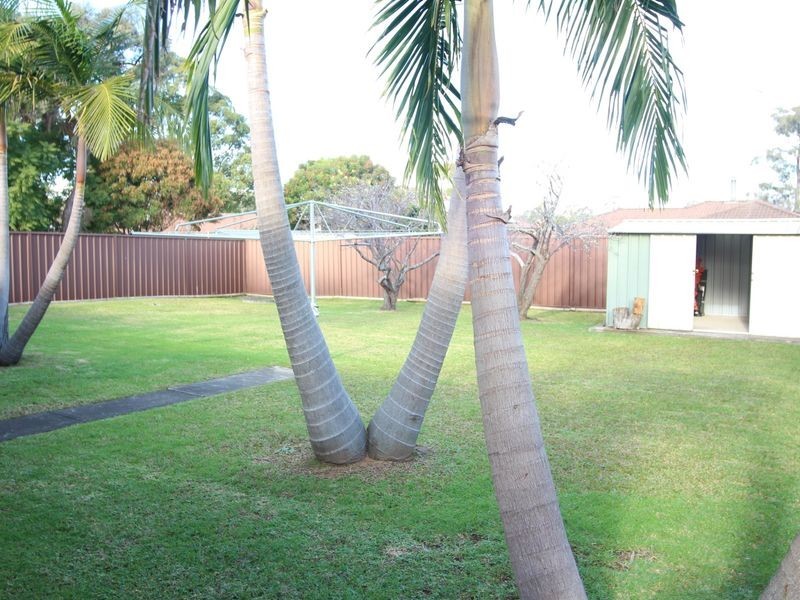10 Spinebill Place, Ingleburn NSW 2565