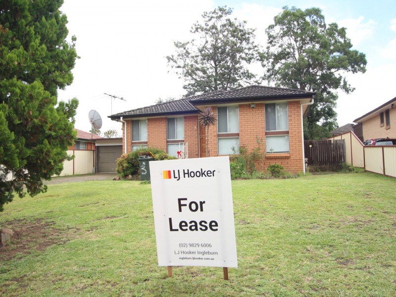 3 Geranium Avenue, Macquarie Fields NSW 2564