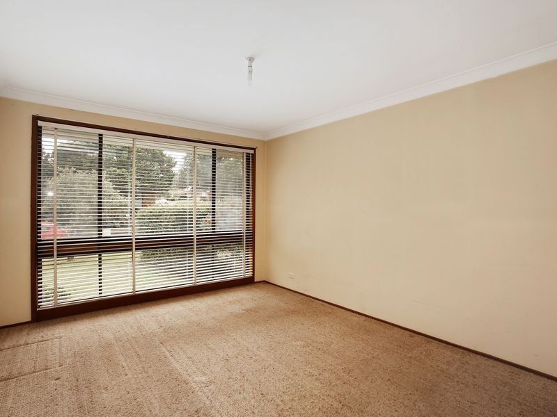 3 Collis Place, Minto NSW 2566