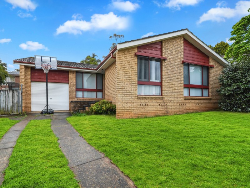 62 Randall Avenue, Minto NSW 2566