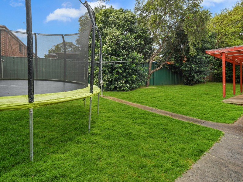 62 Randall Avenue, Minto NSW 2566