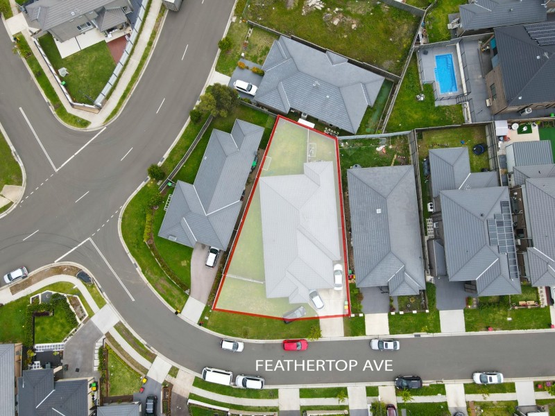 25 Feathertop Ave, Minto NSW 2566
