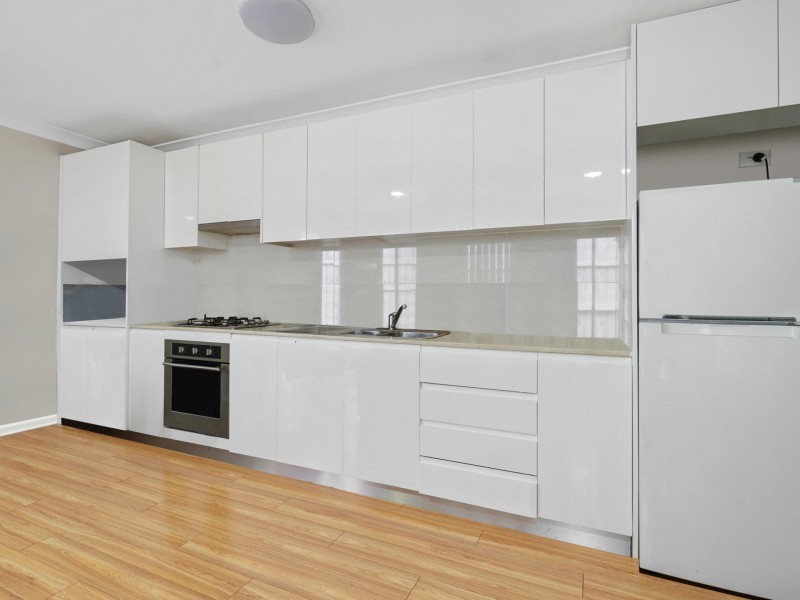 25 Feathertop Ave, Minto NSW 2566