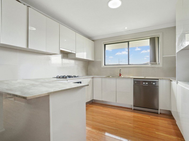 25 Feathertop Ave, Minto NSW 2566