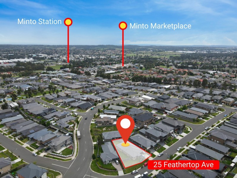 25 Feathertop Ave, Minto NSW 2566