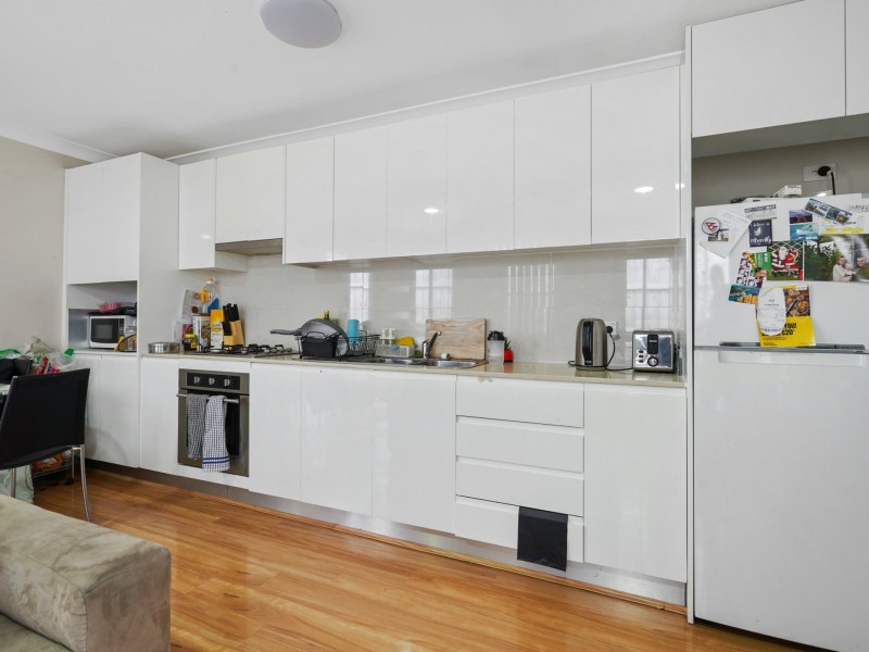 25 Feathertop Ave, Minto NSW 2566