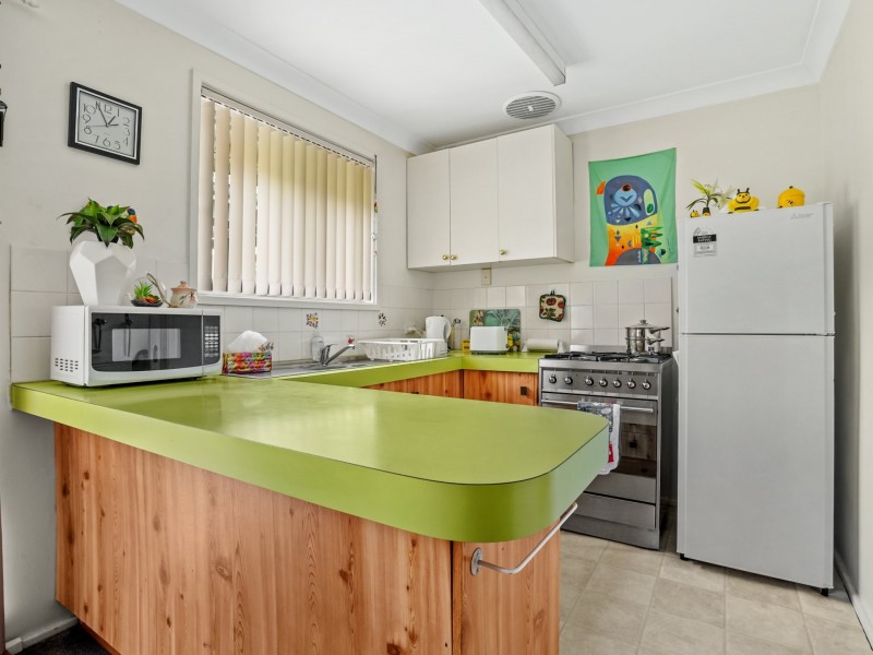 54 Fenton Crescent, Minto NSW 2566