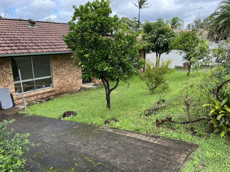 37 Woodlark Place, Glenfield NSW 2167