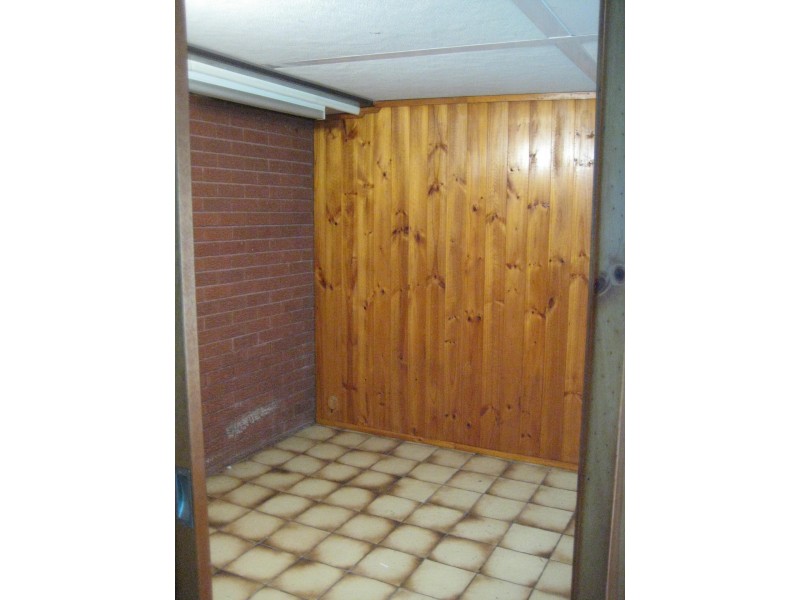 23 Treelands Avenue, Ingleburn NSW 2565